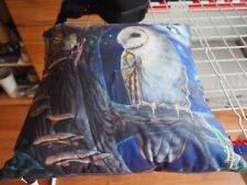Kissen 40x40 eulenmotiv gebraucht kaufen  Hannover