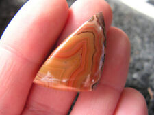 Remarkable montana dryhead for sale  Hudson Falls