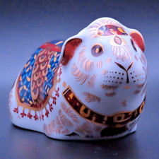 Guinea pig royal for sale  CHESTERFIELD