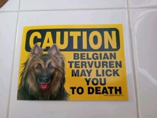 Belgian tervuren may for sale  Chattaroy