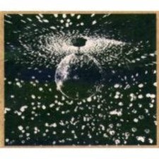 Neil young mirror usato  Milano