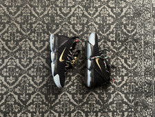 Men nike lebron for sale  Pelham