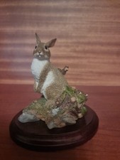 sherratt simpson rabbit for sale sherratt simpson rabbit for sale  SHETLAND