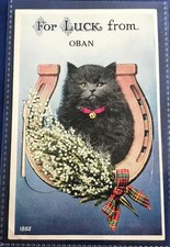 Novelty pull postcard for sale  WORTHING