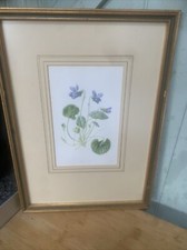 Edwardian flower print for sale  TAUNTON