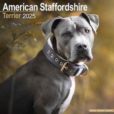 Calendrier 2025 american d'occasion  Troyes