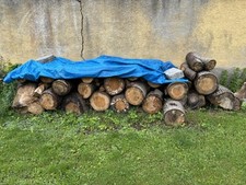 Zedernholz gebraucht kaufen  Gosheim