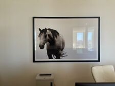 Extra large framed for sale  Sherman Oaks