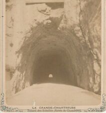 Tunnel échelles grande d'occasion  Dijon