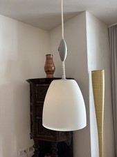 Hängelampe design affenschauk gebraucht kaufen  Köln
