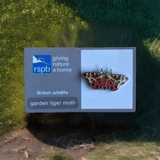 Rspb pin badge for sale  GREAT YARMOUTH