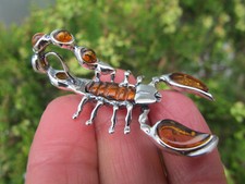 Amber fossil scorpion for sale  BRIXHAM