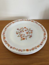 Lot plats services d'occasion Lot plats services d'occasion  Lavaur