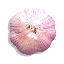 Fresh organic heirloom for sale  Moriarty