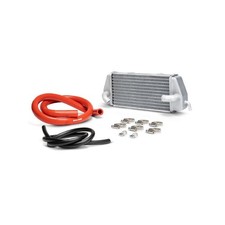 Radiatore sinistro malossi usato  Clusone