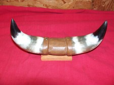 Tiny steer horn for sale  Mountain Home