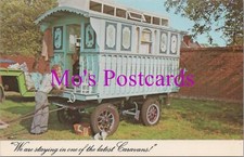Gypsy history postcard for sale Gypsy history postcard for sale  WATERLOOVILLE