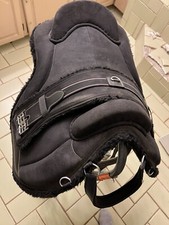 Dressage cut vegan for sale  Lucedale