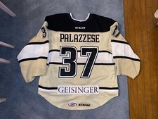Franky palazzese wbs for sale  Long Pond