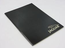 Jaguar 4.2 5.3 usato  Roma