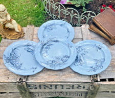 Assiettes plates creil d'occasion  Villeneuve-la-Guyard