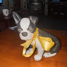 Boston terrier french for sale  WESTON-SUPER-MARE