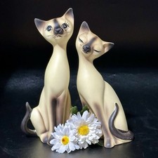 Norcrest siamese cat for sale  Denver