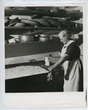 Cheese making gloucestershire for sale  EDINBURGH