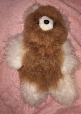 Curly huacaya alpaca for sale  Palmyra