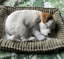 Perfect petzzz jack for sale  CLEVEDON