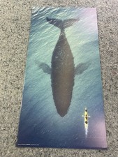 Big fish kayak for sale  Saint Augustine