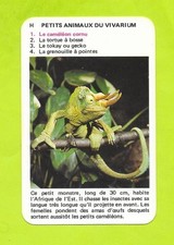 Carte petits animaux d'occasion  Nancy-