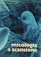 Micologia scansione hardcover usato  Roma