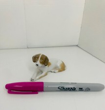 Porcelain short haired for sale  Phoenix
