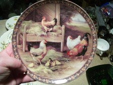 Free range chickens for sale  Viking