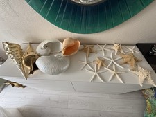 Natural dry starfish for sale  NORTHOLT