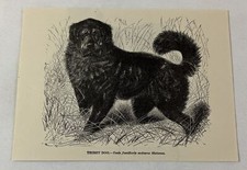 1885 book engraving for sale  Wilmington