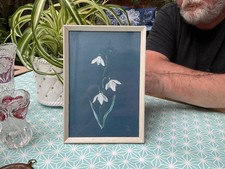 Framed botanical watercolour for sale  WARRINGTON