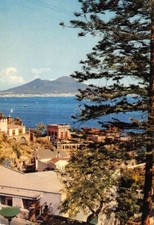 Cartolina napoli panorama usato  Milano
