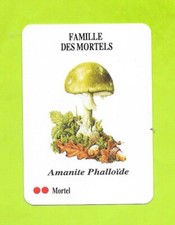 Carte maitre cartier d'occasion  Nancy-