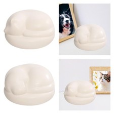 Memorial pet urn usato  Spedire a Italy