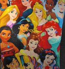 Disney princess blanket for sale  Radcliff
