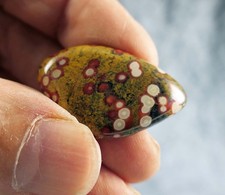 First class trommelstein gebraucht kaufen First class trommelstein gebraucht kaufen  Lüdinghausen