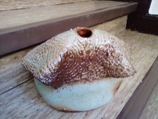 Vase deko hand gebraucht kaufen  Düsseldorf