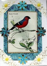 Garden bird hand for sale  WARRINGTON