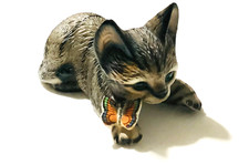 Harvey knox tabby for sale  Le Roy