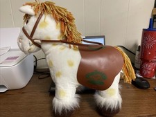 cabbage patch horse for sale cabbage patch horse for sale  Cape Girardeau