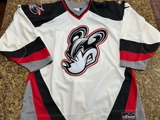 Disney mickey mouse for sale  Sherwood
