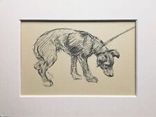 Mongrel puppy dog for sale  NORWICH