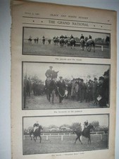 1902 shannon lass for sale  VERWOOD